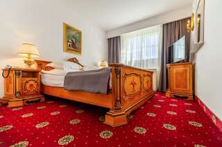 Отель Hotel Imparatul Romanilor Сибиу Люкс с 1 спальней-1