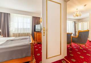 Отель Hotel Imparatul Romanilor Сибиу Люкс с 1 спальней-3